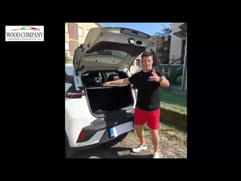 Car trunk cover for DOLPHIN SURF